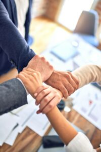 Employee Experience in Startups